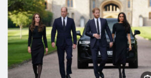 Prince Harry and Meghan